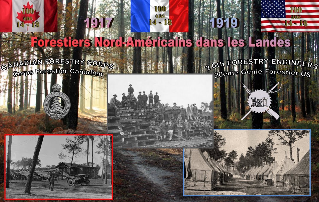 1917-1919-Forestiers nord américains dans les Landes