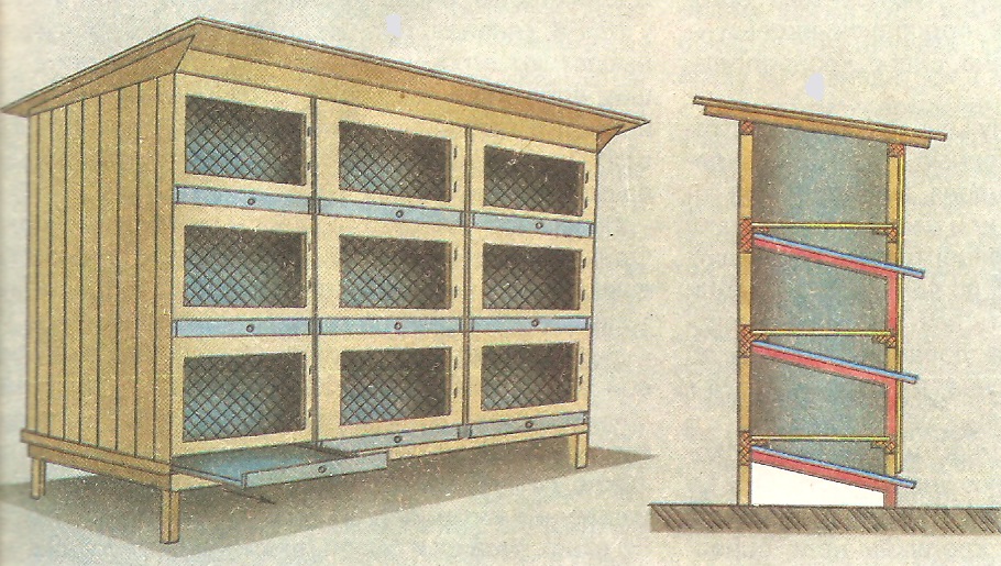 ���������� ������ ��� �������� ������ ������