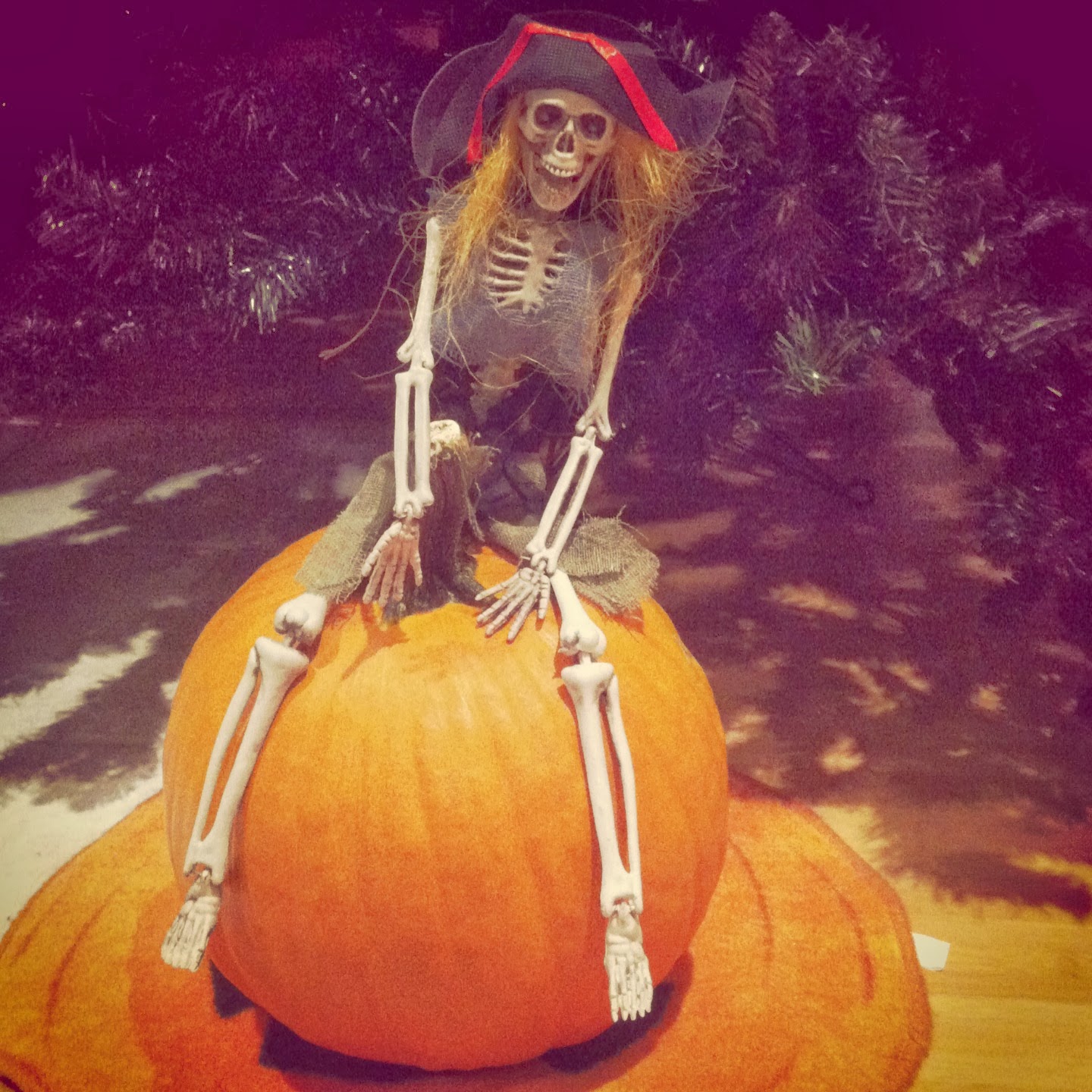 Skeletor and a Pumpkin