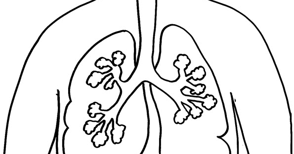 Desene Imagini De Colorat Corpul Uman Anatomie Imagini De Colorat Planse Fisa Biologie