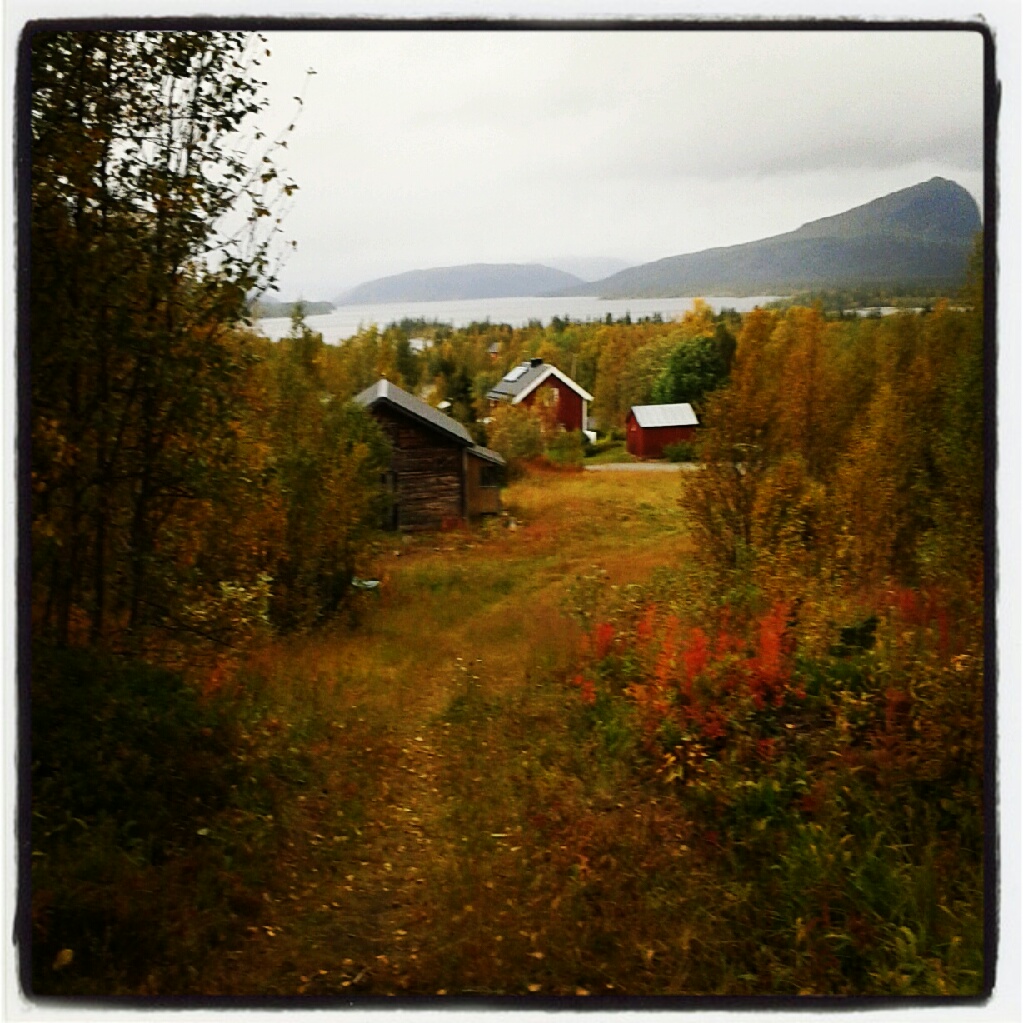 Ha en IKIGAI - del 3 i Lev längre japan style IMG 20120913 151846