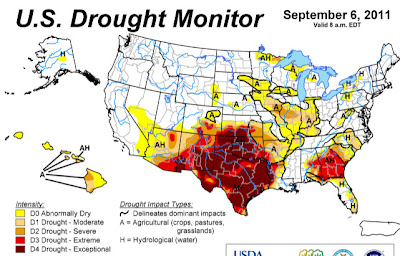 not enough rain