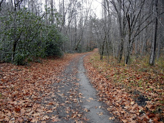 Hiking on the Bradley Fork trail in the Great Smoky Mountains National Park