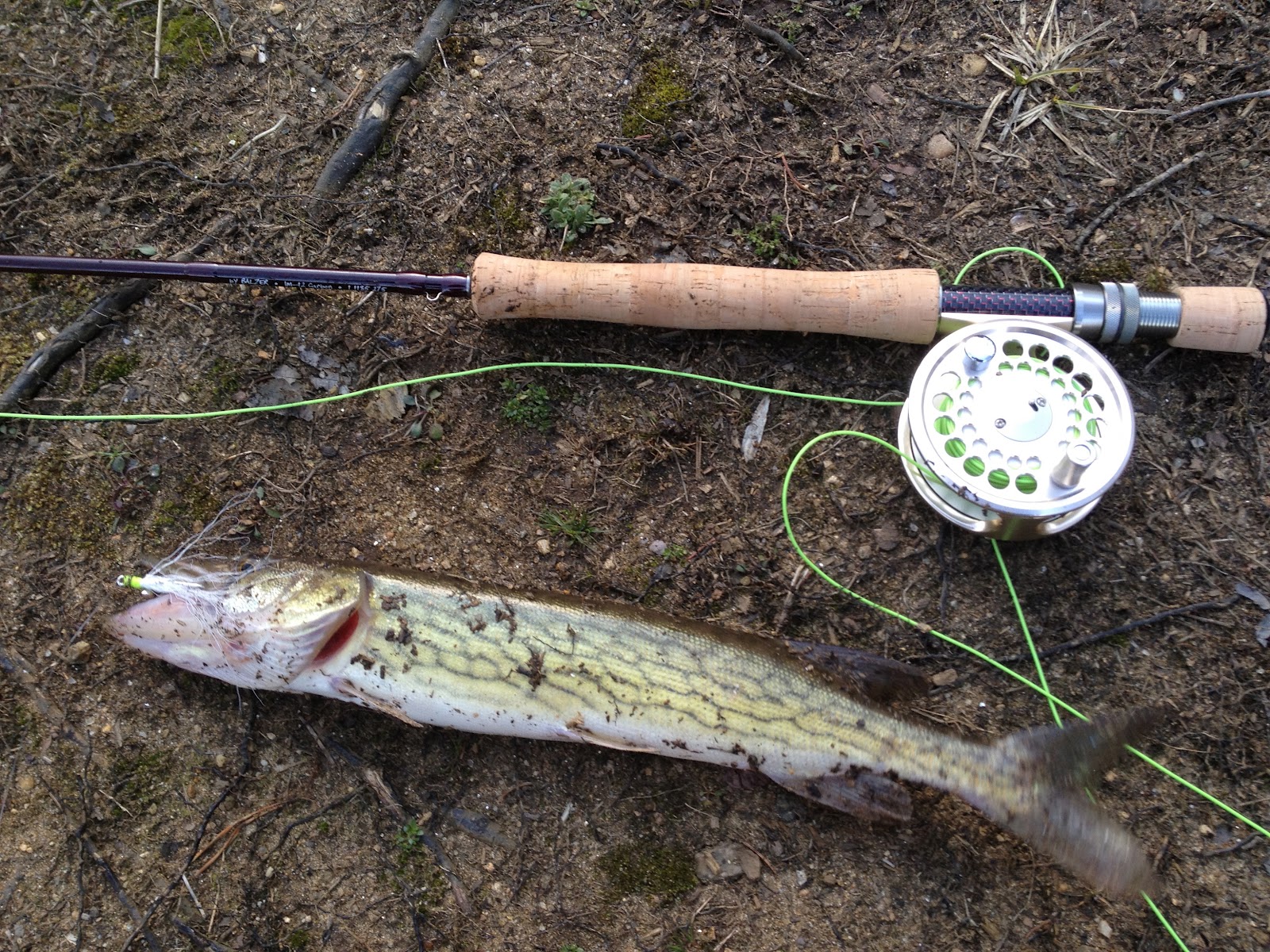 Tight Lined Tales of a Fly Fisherman: Fly Products: Balzer Jewel Fly Rod  and Titan Reel