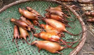 Vietnamese sold rats and mice to the poor Cambodian for dirt cheap meat consumption.