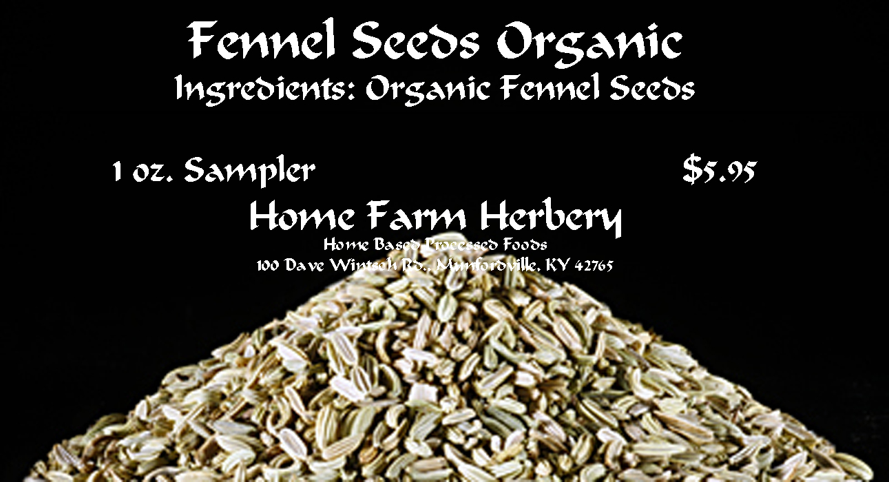 Fennel Seeds Organic are one of the most interesting herbs to cook with