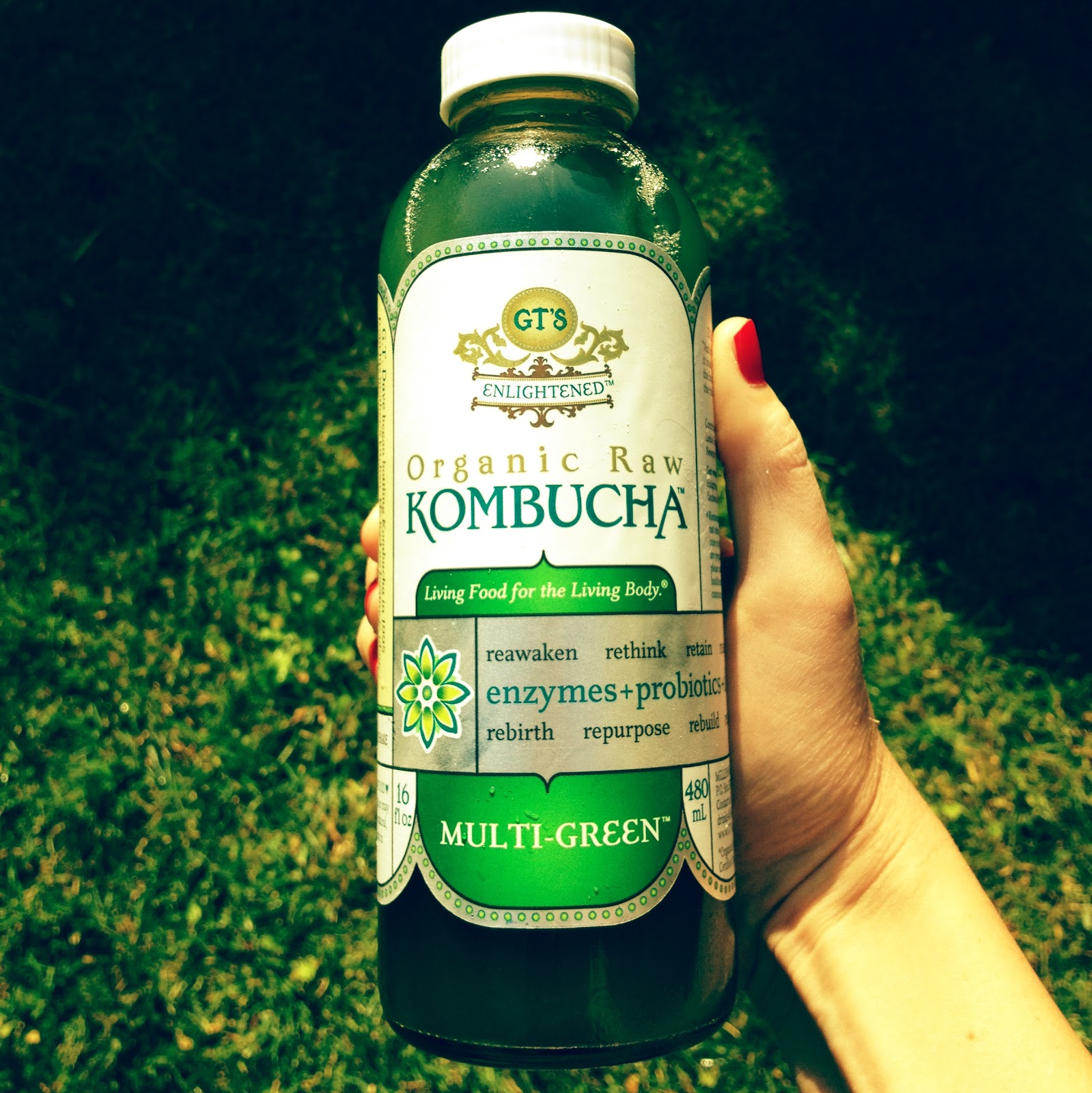Life, Love, and All Things Green Kombucha for Detoxification and Energy