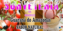 SORVETERIA DA GRACIELLE