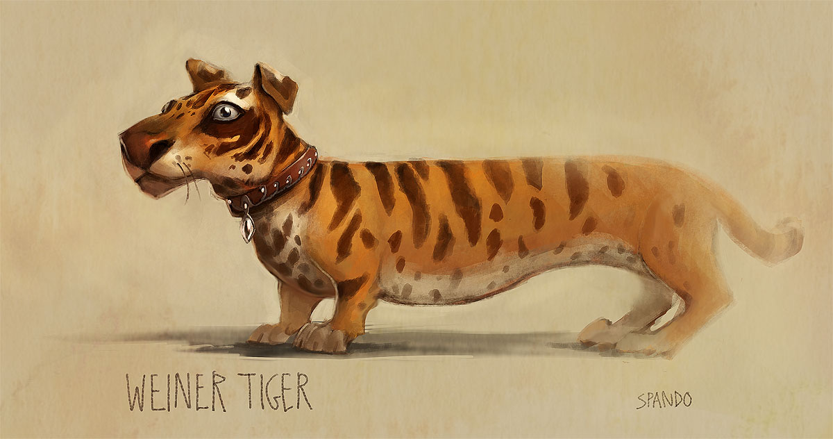 Cross Breed Dog Training Home Dog Types