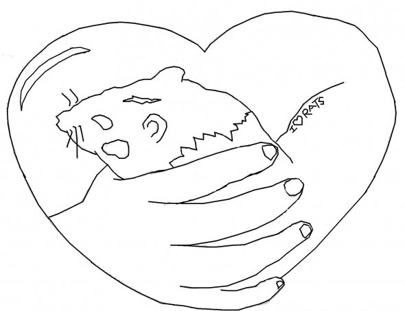 Baby Animals Coloring Pages To Kids