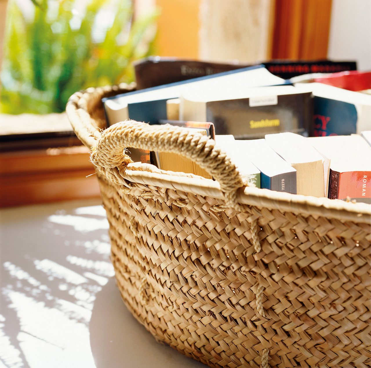 My Dream Canvas A Basket Full of Books