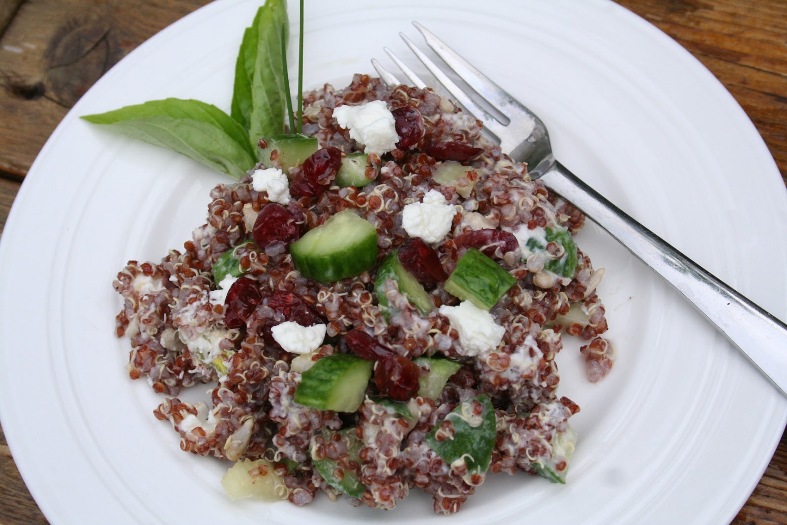 The Healthy Happy Wife Quinoa Cranberry Salad (Gluten/Grain and