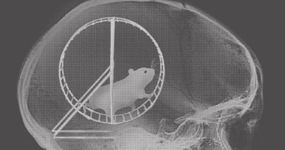 Image result for hamster instead of brain