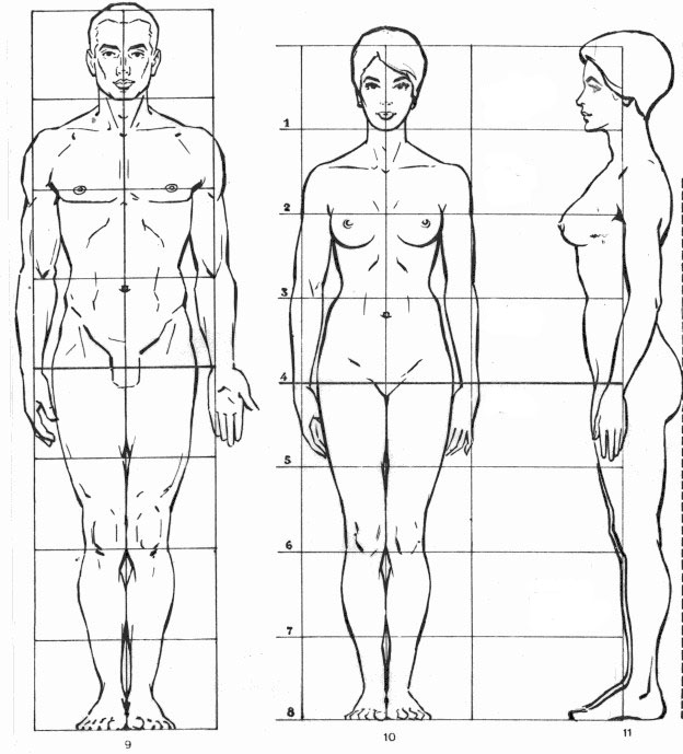 Come Disegnare La Figura Del Corpo Umano