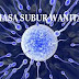 Cara Menghitung Masa Subur Wanita