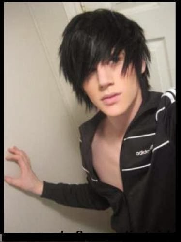 Emo Hairstyle For Guys 2014 Emo Haircuts And Hairstyles