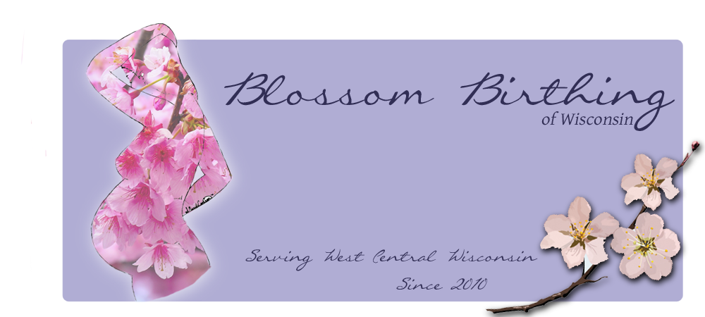 Blossom Birthing of Wisconsin
