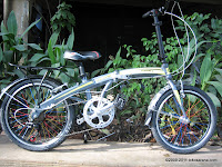 E 20 Inch Giant Alumunium Alloy Frame Folding Bike
