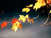 Autunno