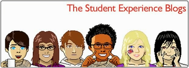 The Student Experience