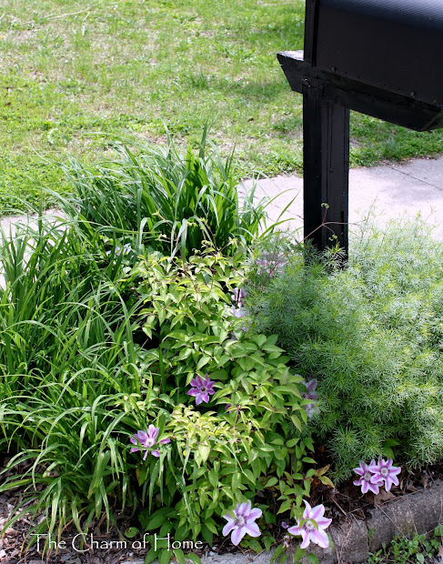 charm of home mailbox garden