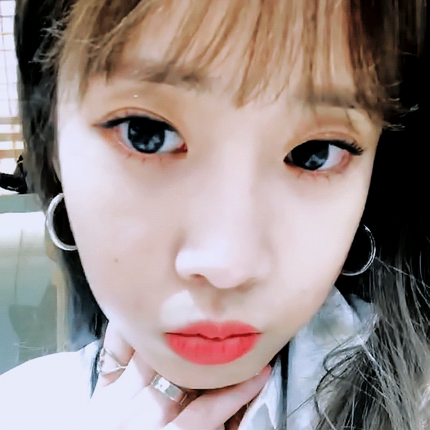 1.gif