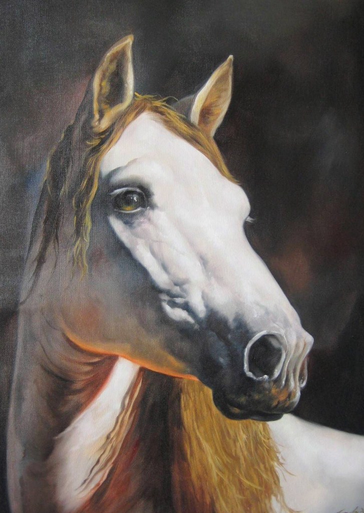 cuadros de caballos al oleo cuadros pinturas oleos pinturas caballos al 243 leo sobre cuadros de caballos al oleo cuadros pinturas oleos pinturas caballos al 243 leo sobre