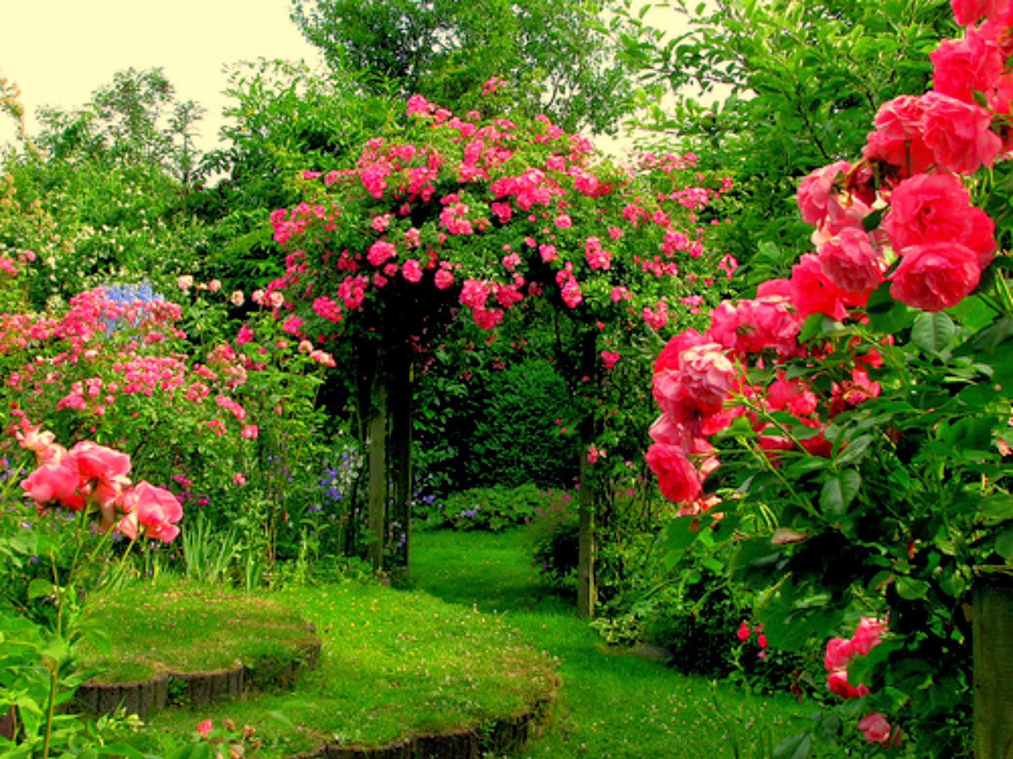 Rose Garden Wallpaper Rose Garden Wallpaper