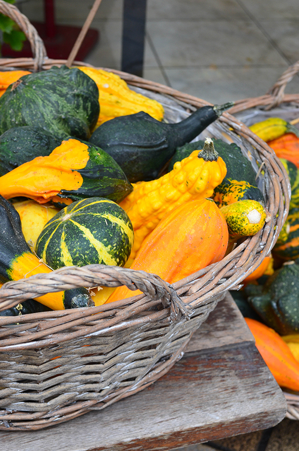 Dalmatia Gourmande Muffini s jabukama, butternut tikvom i Tahiti