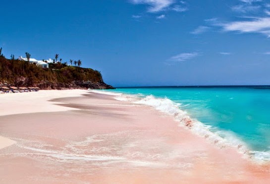 Pink Beach, Bermuda