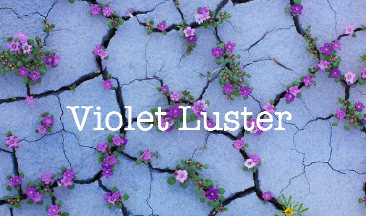 Violet Luster