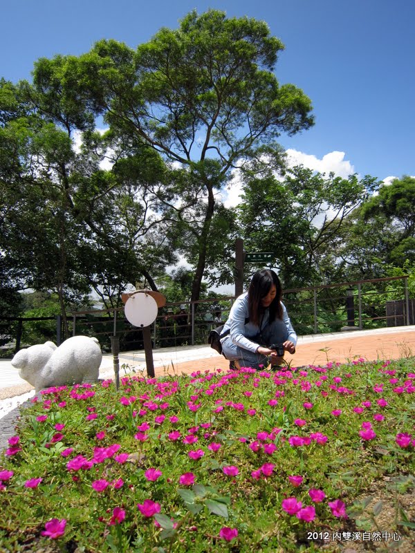 內雙溪自然中心 森林藥用植物園