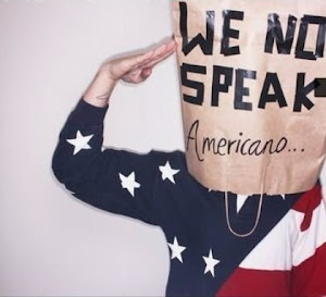 WE NO SPEAK AMERICANO.