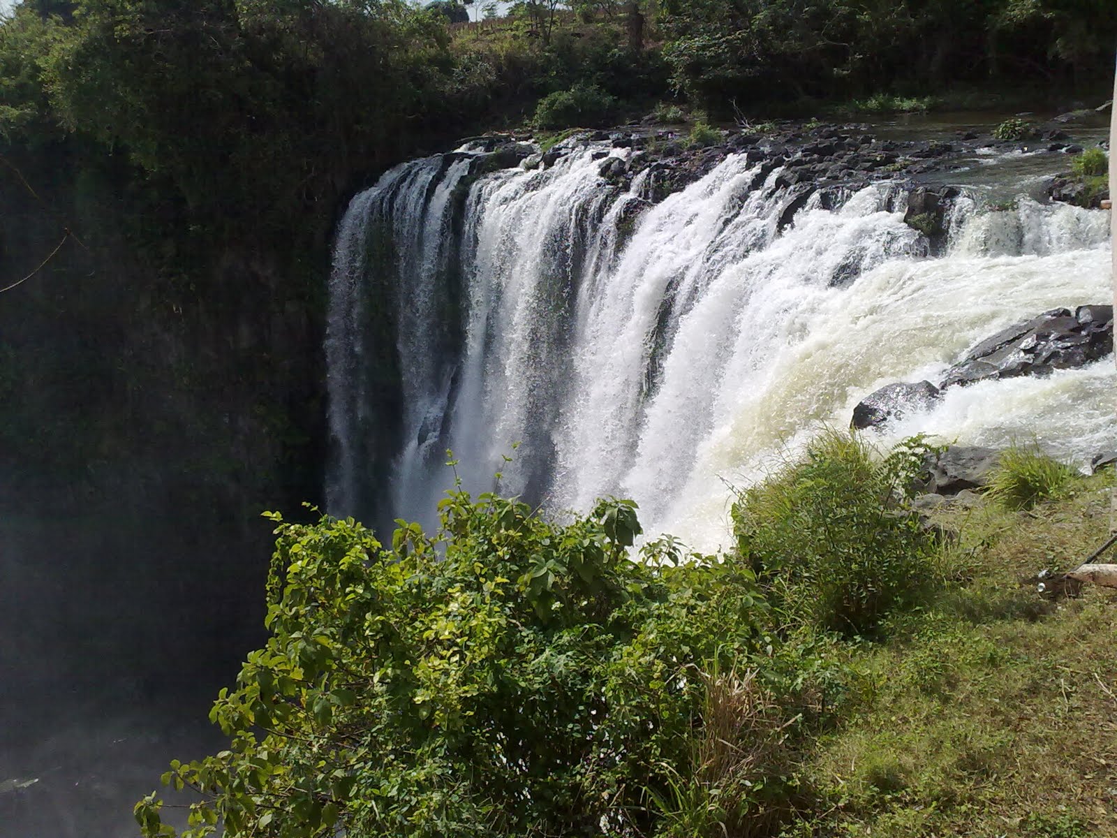 La Sierra Mágica de Los Tuxtlas. El Salto de Eyipantla.