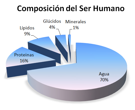 Composicion quimica del cuerpo humano pdf