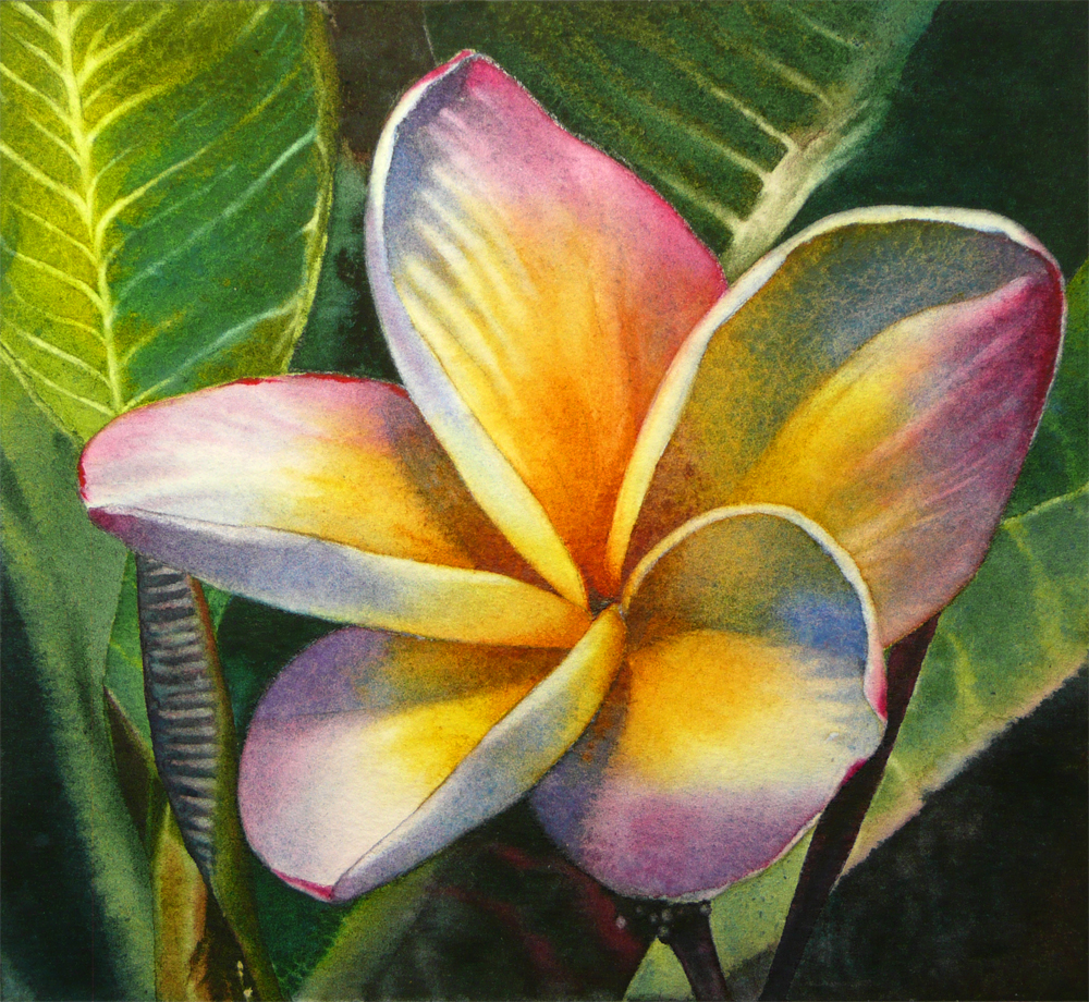 Flower painting, Plumeria painting, Flower art