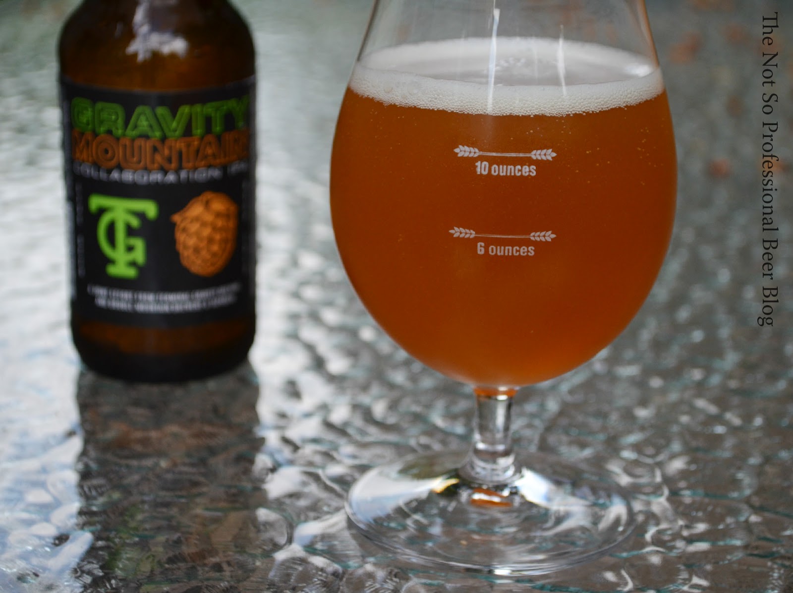 Review Gravity Mountain, Terminal Gravity The Not So Professional