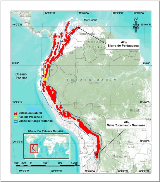 Registros de ocurrencia del oso andino (Tremarctos ornatus Cuvier, 1825) en sus límites de distribución nororiental y austral.