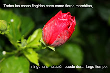 Todas las cosas fingidas caen como flores marchitas,