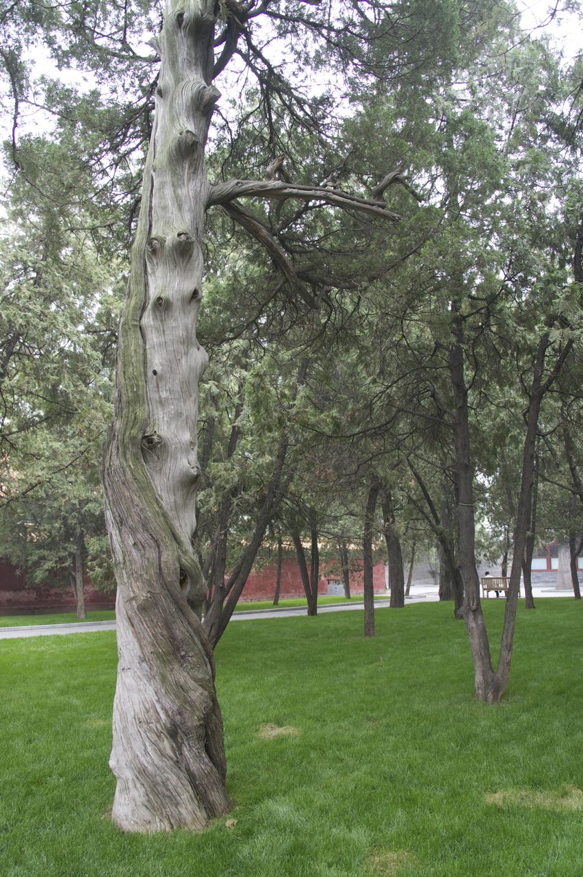 ditan park