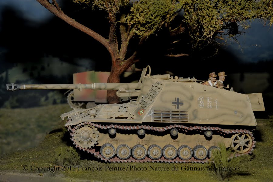 NASCHORN 8,8cm PAK aus Pz III/IV