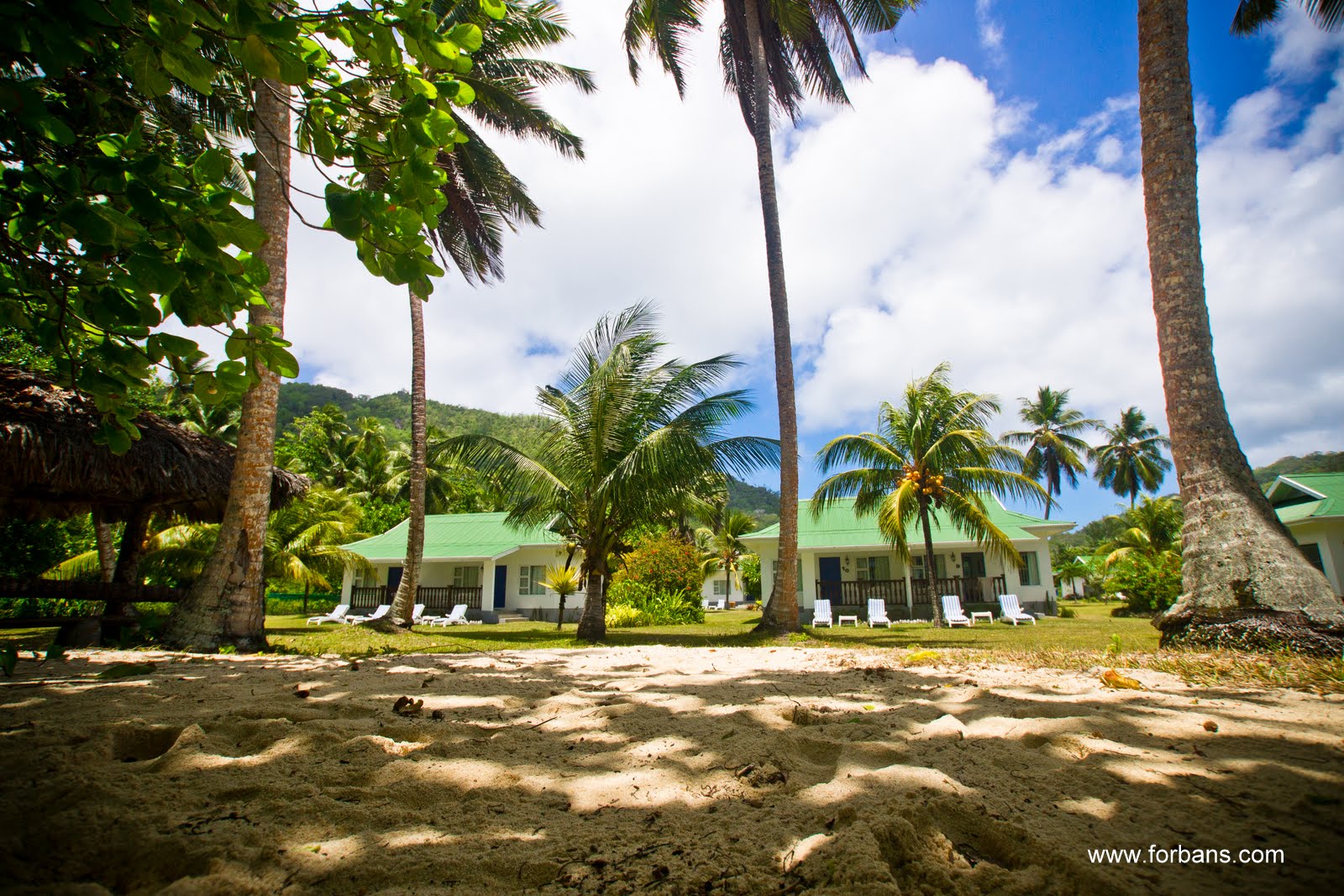 seychelles fishing, where to fish seychelles, seychelles fishing competitions, what to do in seychelles food in seychelles, fish in seychelles, bbq in seychelles, seychelles self cateirng