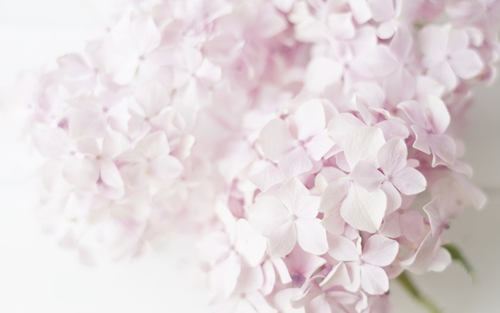 What Grows There May 2019