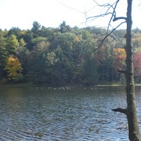 Example Standard Blogger Image via blogspot.com