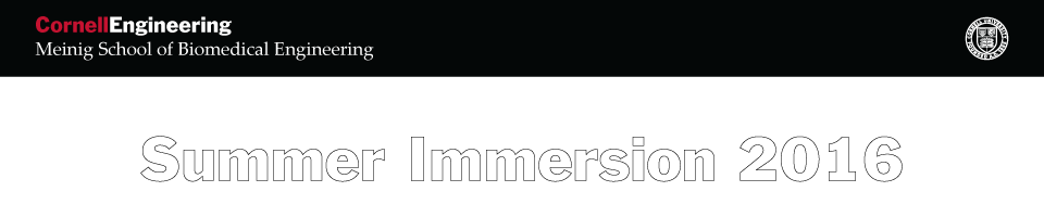 Cornell BME Summer Immersion 2016