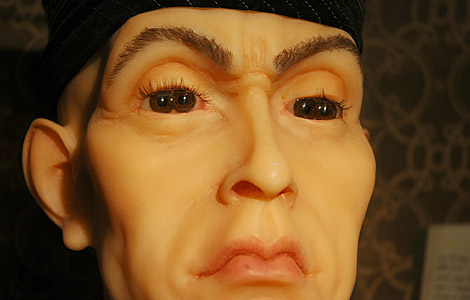 double pupil eyea double pupil eyea