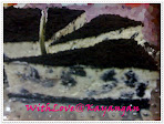 Oreo Cheese Cake