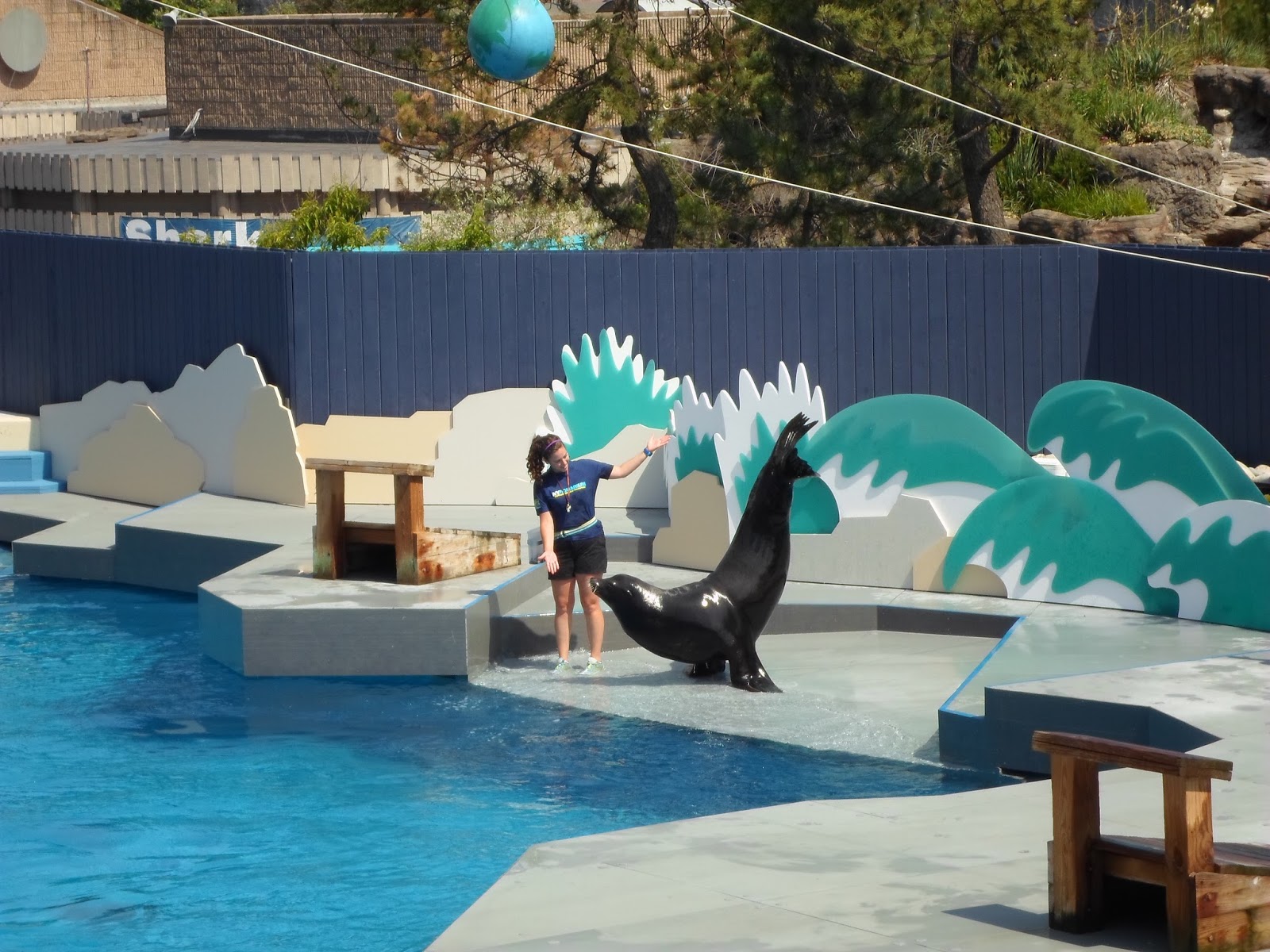 St. John's Queens PDPI New York Aquarium