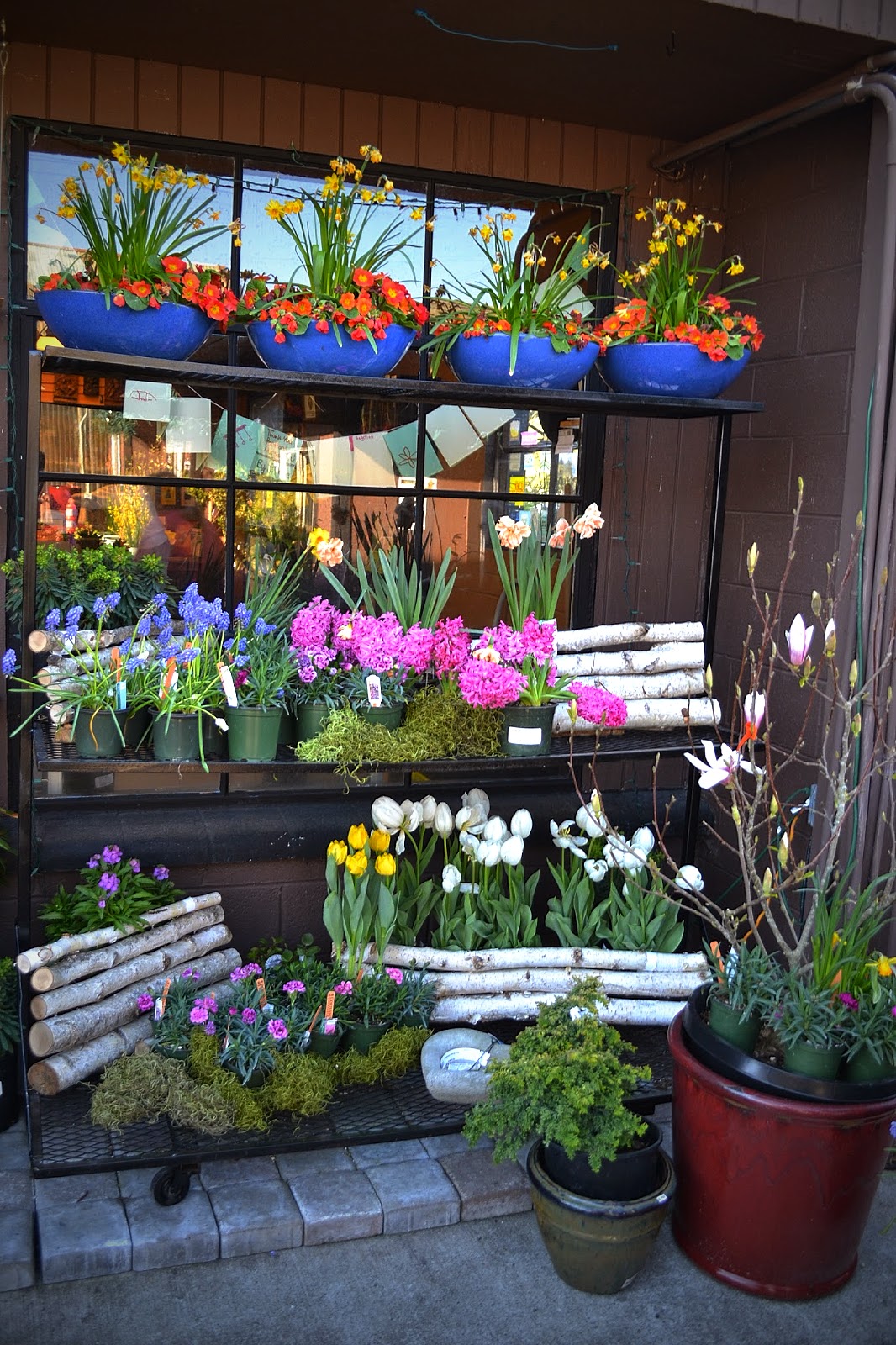 The Outlaw Gardener Visiting Portland Nursery on Stark