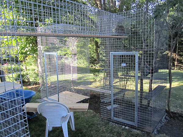 cat habitrail